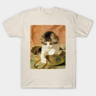 Kitten in the Jewelry box T-Shirt